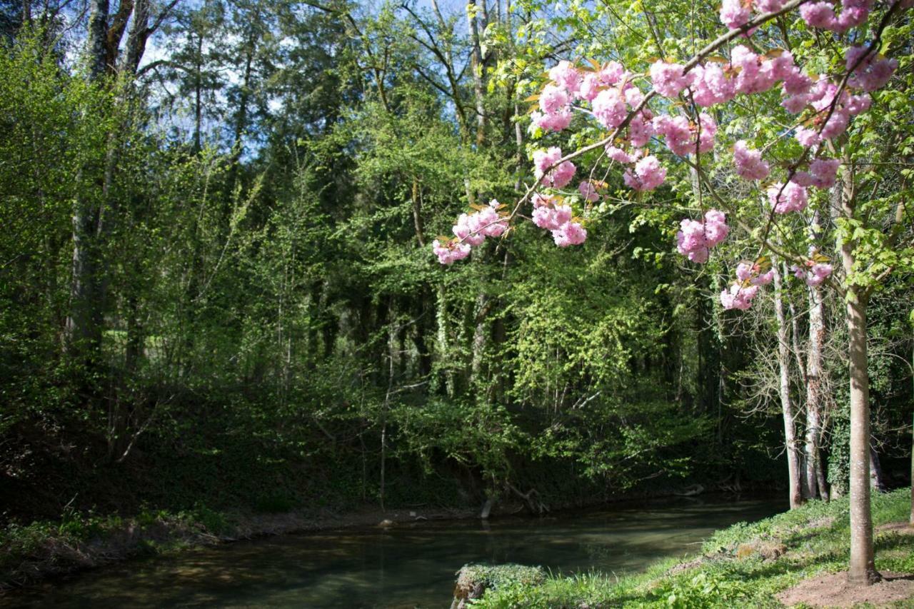 Gite Moulin De La Serree Nuits-Saint-Georges Exteriér fotografie